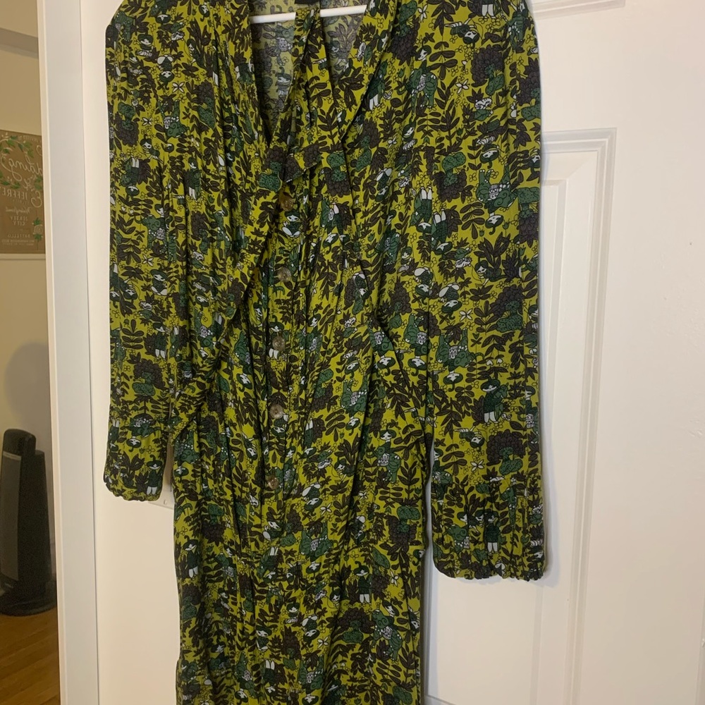 Anna Sui FW 2010 belted button up tunic dress